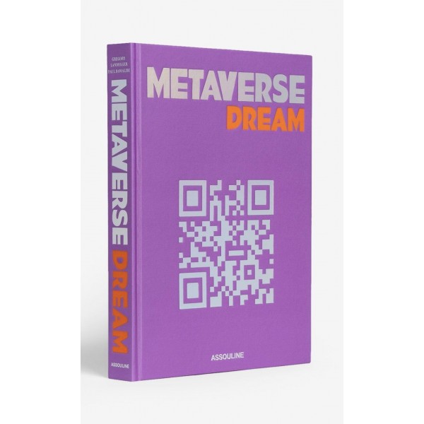 METAVERSE DREAM